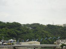 DSC04489.JPGのサムネール画像