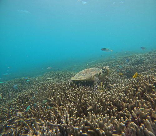 GOPR9882.JPG