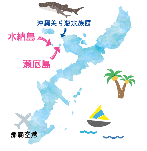 沖縄美ら海水族館近く