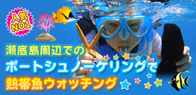 水納島・瀬底島を選べるボートシュノーケリング