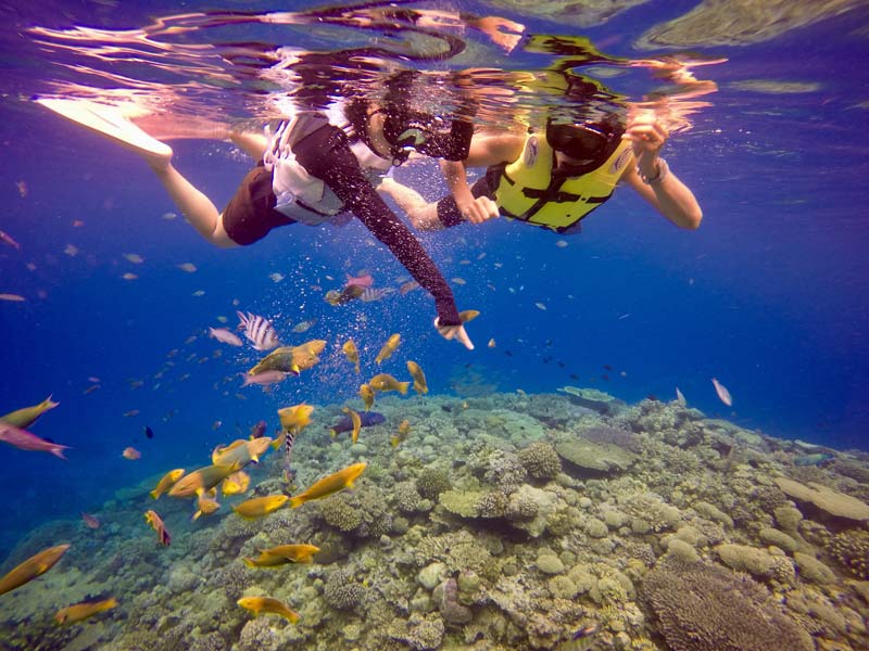 水納島わくわくボートシュノーケリング＆日帰り海水浴